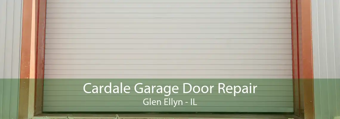 Cardale Garage Door Repair Glen Ellyn - IL