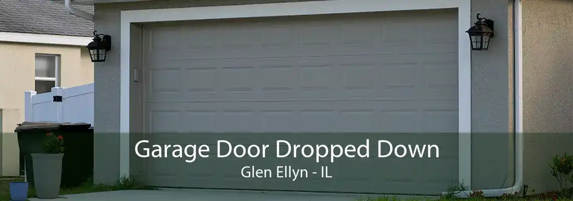 Garage Door Dropped Down Glen Ellyn - IL