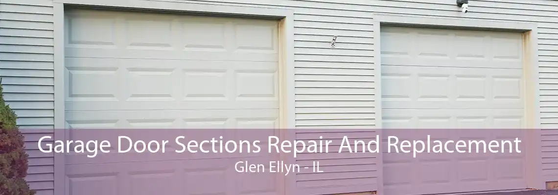 Garage Door Sections Repair And Replacement Glen Ellyn - IL