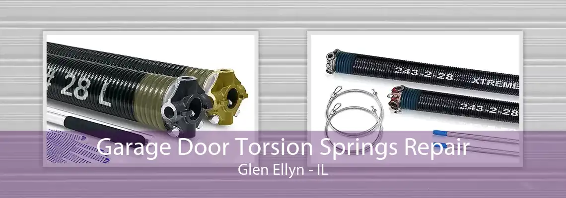 Garage Door Torsion Springs Repair Glen Ellyn - IL