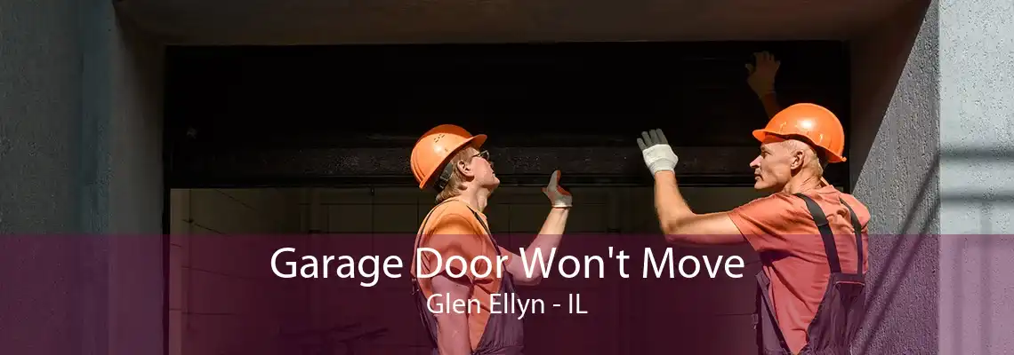 Garage Door Won't Move Glen Ellyn - IL