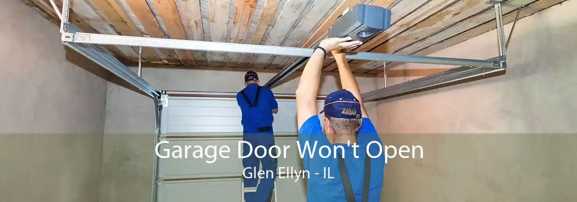 Garage Door Won't Open Glen Ellyn - IL