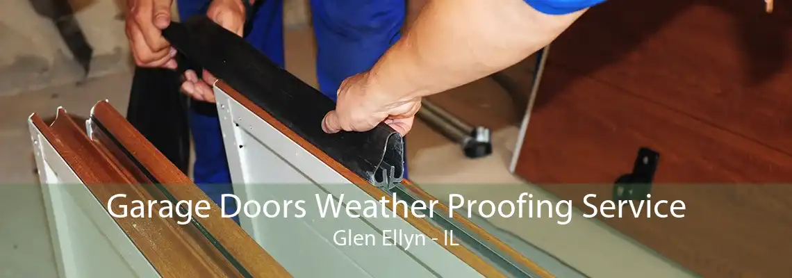 Garage Doors Weather Proofing Service Glen Ellyn - IL